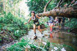 BIB: 
                            <button type="button" onclick="openModal(25514039)" class="btn btn-primary btn-sm float-right btn-popup" data-toggle="modal" data-target=".modal-high-quality">
                        <i class="fas fa-shopping-cart"></i> Add to Cart
                    </button>
                                            <button type="button" onclick="isThisMe(25514039, true)" class="btn btn-success btn-sm float-right btn-popup btn-isme hidden" data-toggle="tooltip" data-placement="bottom" title="นี่คือรูปของคุณใช่ไหม คลิกที่นี่เพื่อเอาเข้าอัลบั้ม">
                        <i class="fas fa-plus"></i> Add to album
                    </button>
                    <button type="button" onclick="isThisMe(25514039, false)" class="btn btn-warning btn-sm float-right btn-popup btn-isnotme hidden">
                        <i class="fas fa-ban"></i> Remove from album
                    </button>